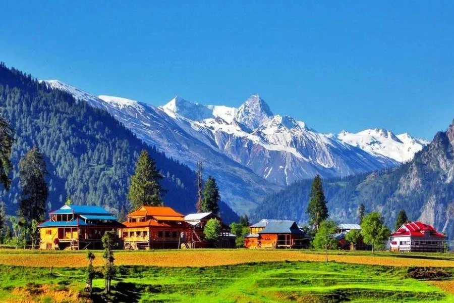 কাশ্মিরী